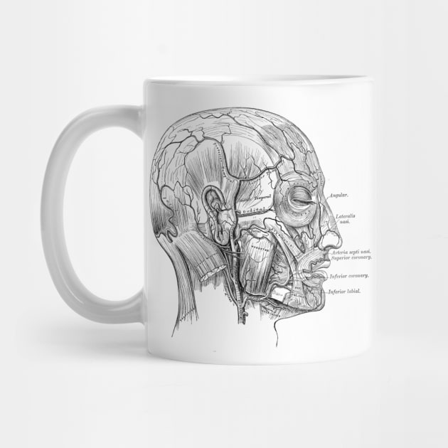 Human Body - Head by be yourself. design